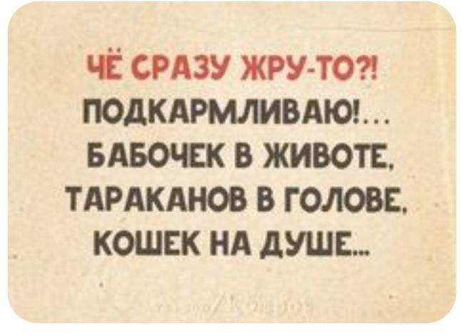 чі СРАЗУ жру тс подкдрмлимюе вдвочск в животе ТАРАКАНОВ в голове кошек нд душе