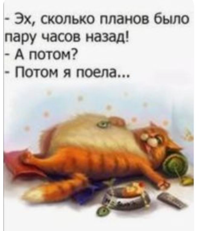 Эх сколько планов было пару часов назад А потом Потом я поела