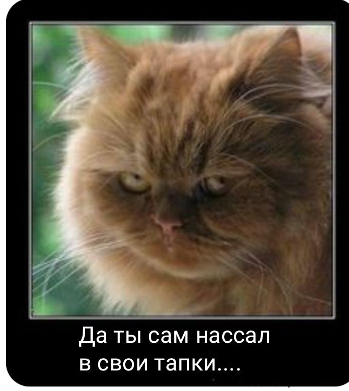 Да ты сам нассал в свои тапки