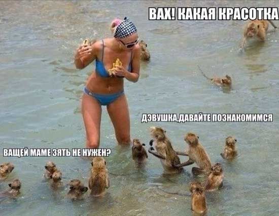 ШШЁШЩ