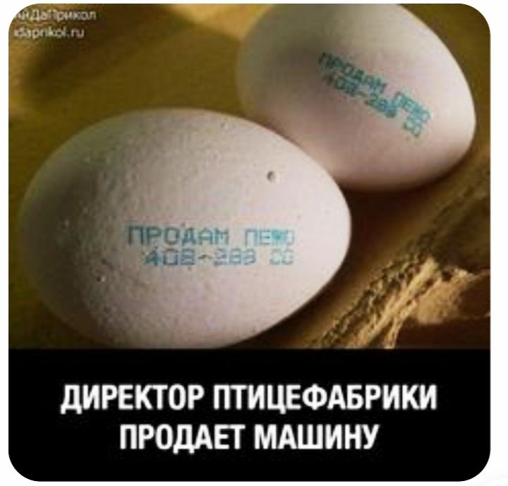 дИРЕКТОР ПТИЦЕФАБРИКИ ПРОДАЕТ МАШИНУ
