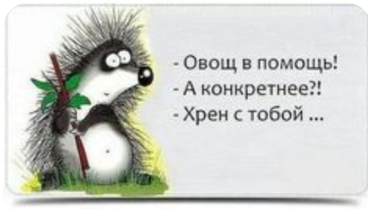 Овощ в помощь А конкретнее Хрен тобой