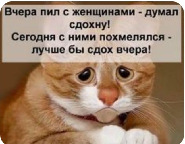 Вчера пил с машинами думал сдохну Сегодня с ними похмепяпся лучше бы сдох вчера _ 33