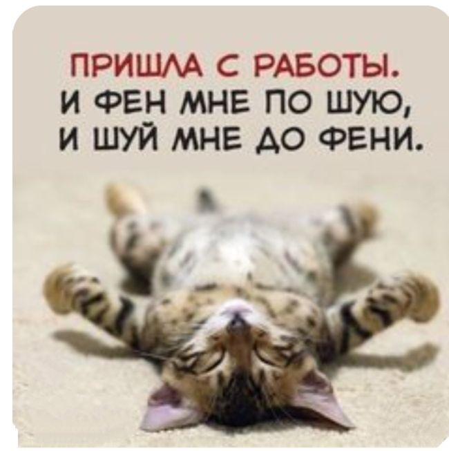 ПРИШАА С РАБОТЫ И ФЕН МНЕ ПО ШУЮ И ШУЙ МНЕ АО ФЕНИ