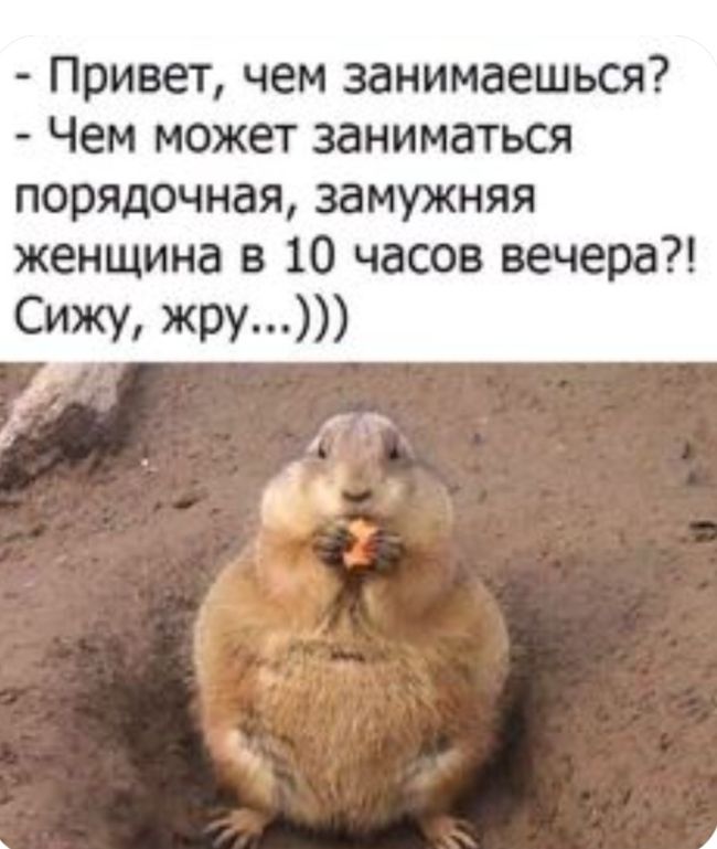 Привет чем занимаешься Чем может заниматься порядочная замужняя женщина в 10 часов вечера СИЖУ ЖЭУ