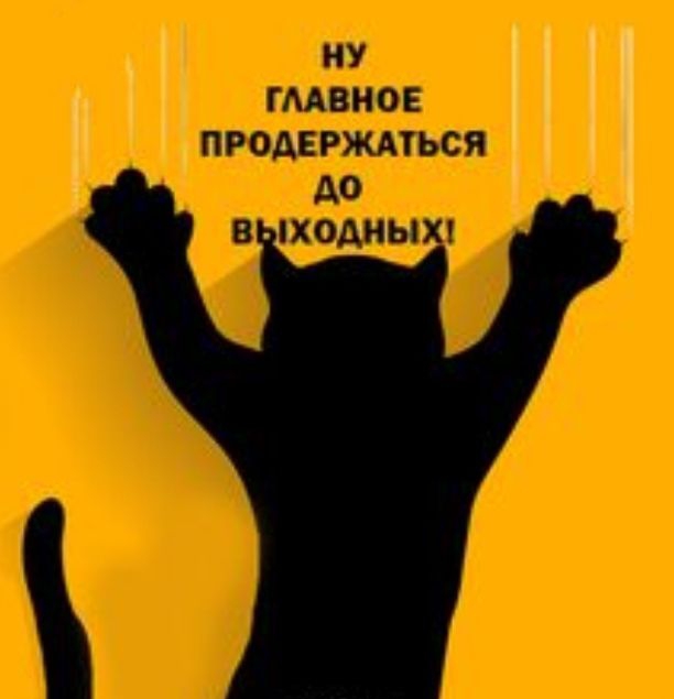 _ Тэд Ё 5123 ат