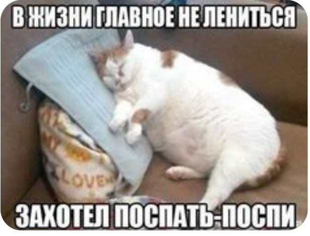 в жизнйгпдыізъ итти ЗМШТШ ППВПМЬШШШИ
