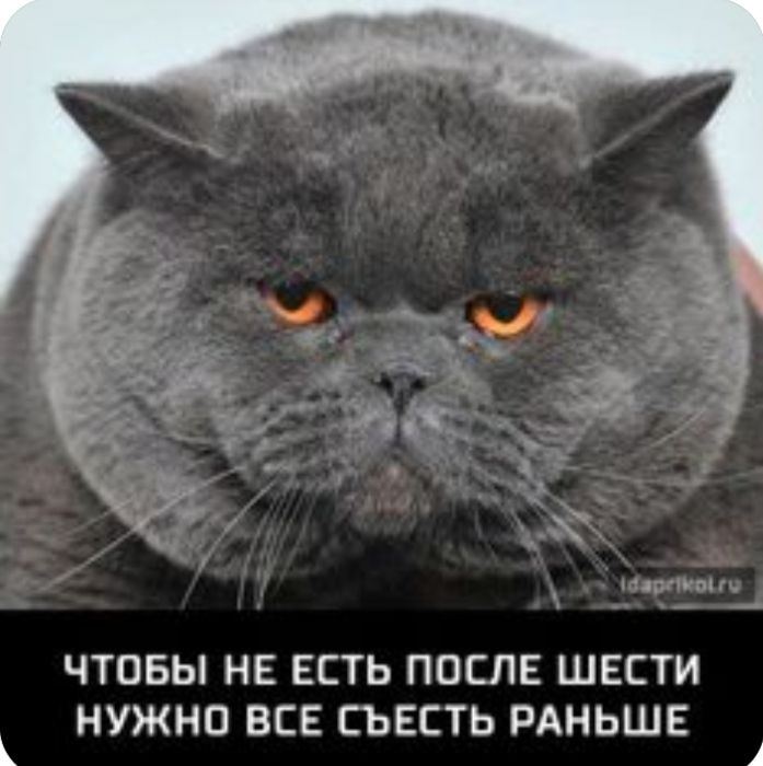 т шыш ЧТОБЫ НЕ ЕСТЬ ПОСЛЕ ШЕСТИ НУЖНО ВСЕ СЪЕСТЬ РАНЬШЕ 1