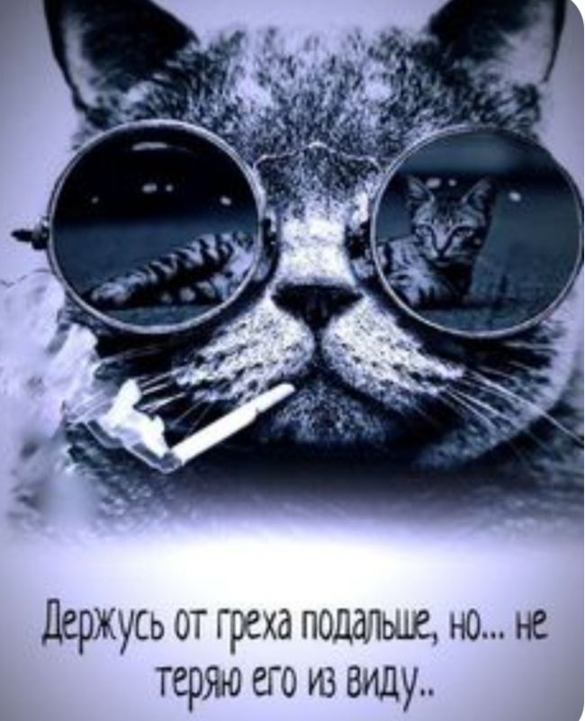 Держусь от греха пошлин но не теряю его из виду