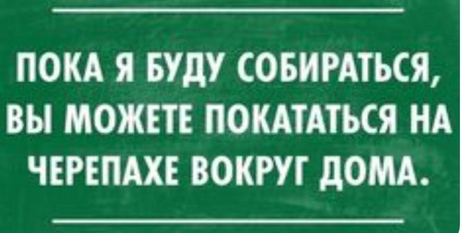 ПОКА Я БУДУ СОБИРАТЬСЯ ВЫ МОЖЕТЕ ПОКАТАТЪСЯ НА ЧЕРЕПАХЕ ВОКРУГ дОМА
