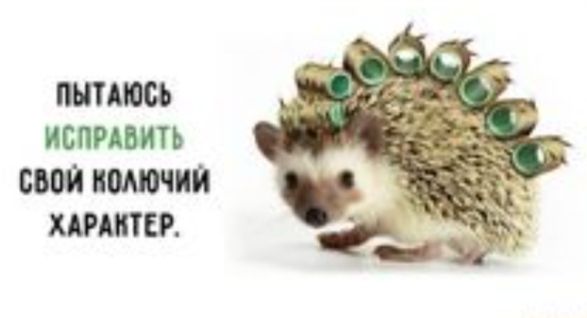 пытаюсь ИСПРАВИТЬ БОЙ ХАРАКТЕР