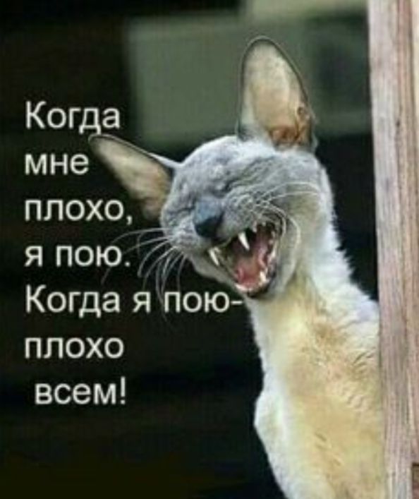 плохо всем