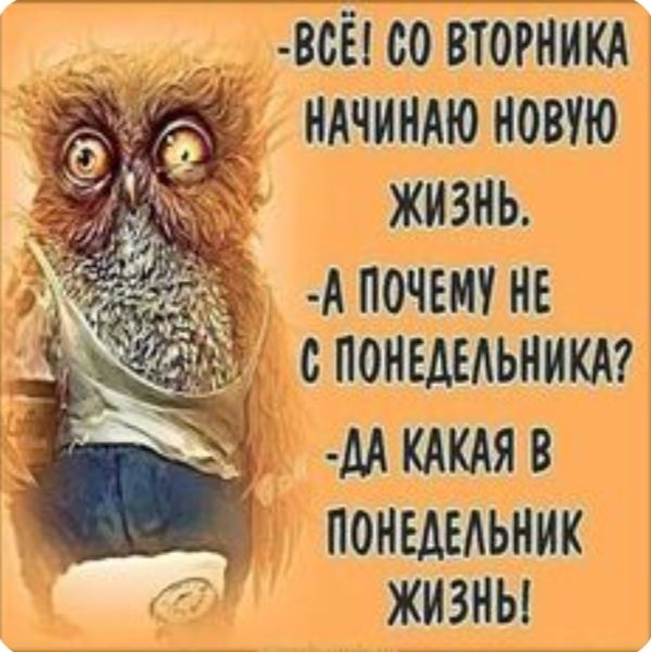 ВСЁЬСО ВТОРНИКА Т 1 понвдыьник ал жизны