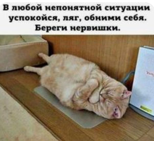 В любой непонятной ситуации успокойся ляг обними себя Береги нервишки