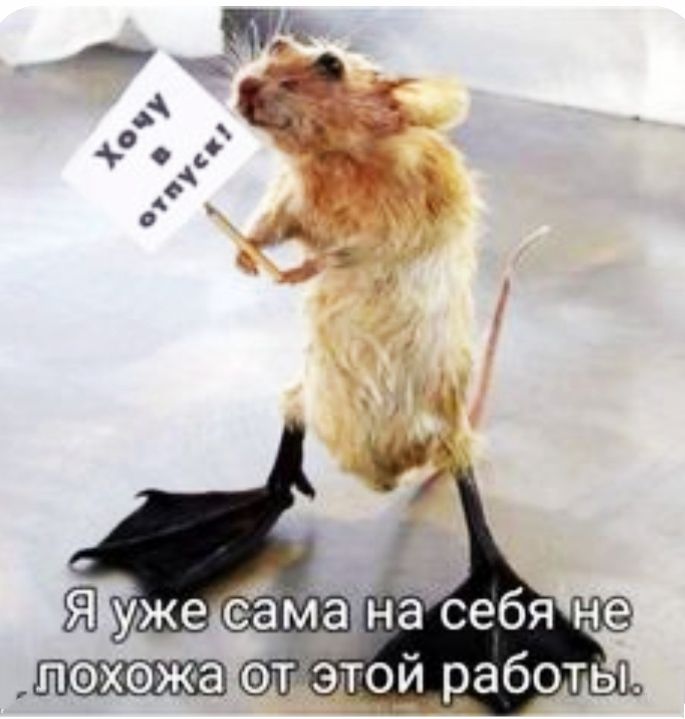 похэжа аотётой работы