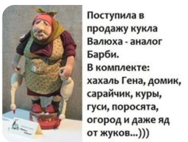 Поступила в продажу кукла Валюха аналог Барби В комплекте хахаль Гена домик сарайчик куры гуси поросята огород и даже яд от жуков