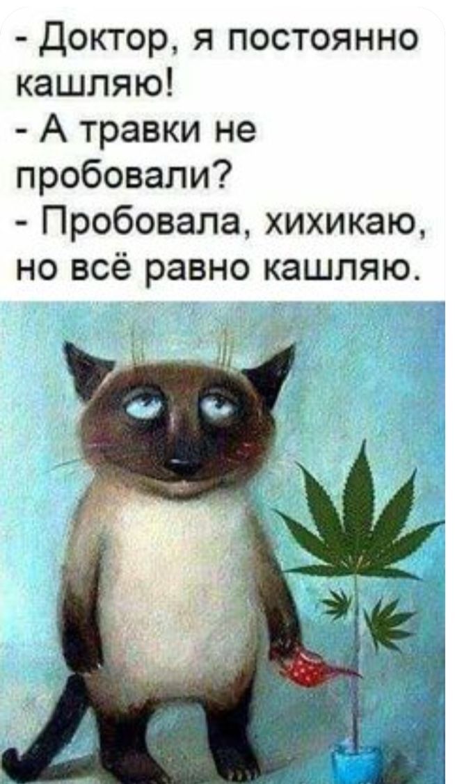 Доктор я постоянно кашляю А травки не пробовали Пробовала хихикаю но всё равно кашляю