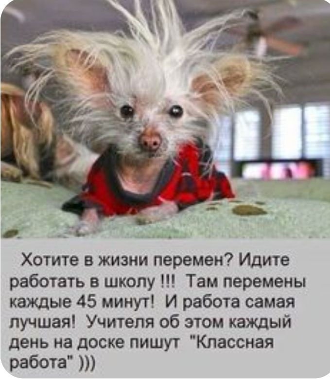 Хотите в жизни перемен Идите работать в школу Там перемены каждые 45 минут И работа самая лучшая Учителя об этом каждый день на доске пишут Классная работа