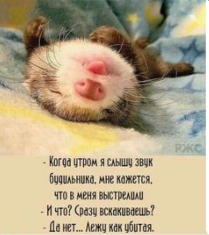 Кота чтоом я мышц звик Очешники мне кажется что в меня выстрелили И что рази вскакиваешь По нет Аежч как обитая