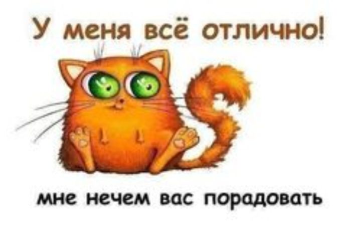 У меня всё отлично