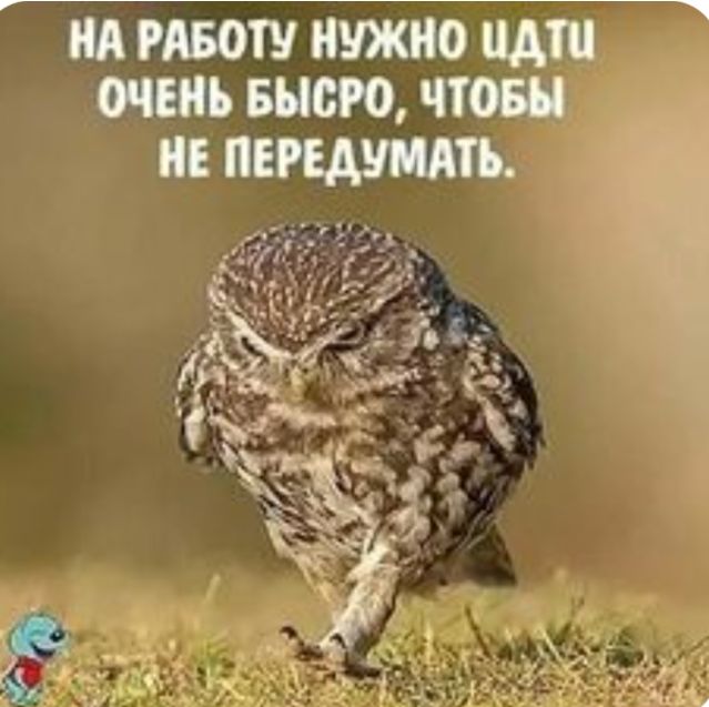 НА РАБОТУ НУЖНО НАШ ОЧЕНЬ шею ЧТОБ