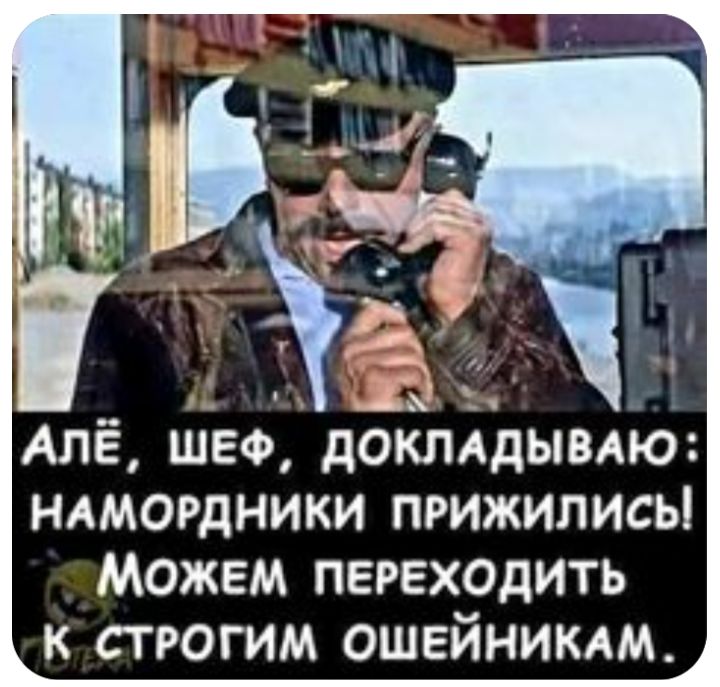 АЛЁ шеф докмдывлю НАМОРДНИКИ прижились Можем переходить к строгим ОШЕЙНИКАМ