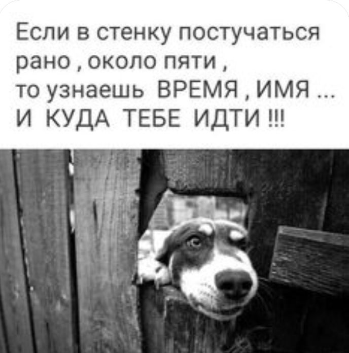 Если в стенку постучаться рано около пяти то узнаешь ВРЕМЯ ИМЯ И КУДА ТЕБЕ ИДТИ