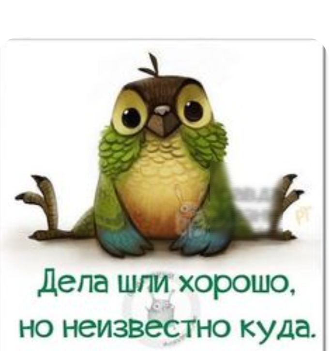 Дела шли хорошо но неизвёстно куда