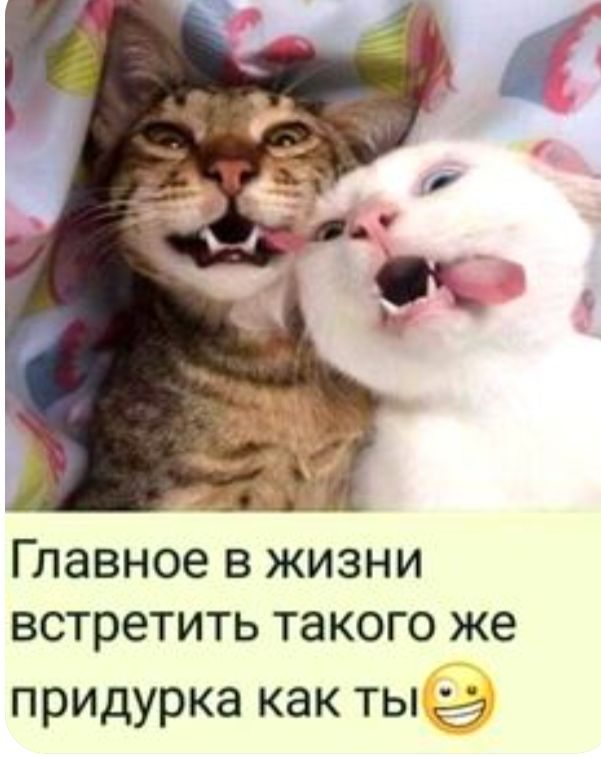 Главное в жизни встретить такого же придурка как ТЫ