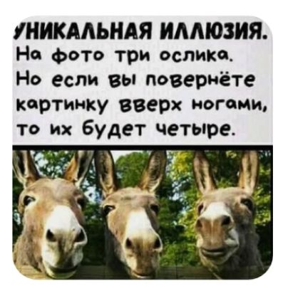 ЛіИКААЬНАЯ ИАМОЗИЯ На фото три ослика Но если вы повеРиёте картинку вверх ногами то их будет четыре