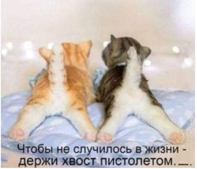 9 ил ьджизни етом _