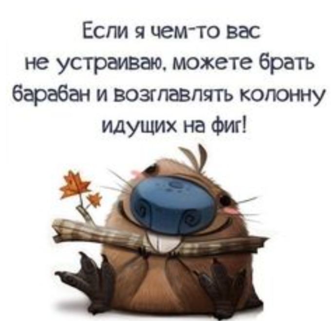 Если я чемто вас не устраиваю можете брать барабан и возглавлять колонну идущих на Фиг