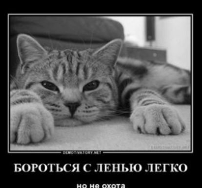 БОРОТЬСЯ ЛЕНЬЮ ЛЕГКО
