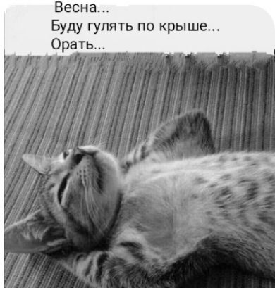 Весна Буду гулять по крыше