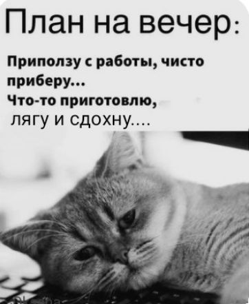 План на вечер Приползу работы чисто прибегу Что то приготовлю лягу и сдохну