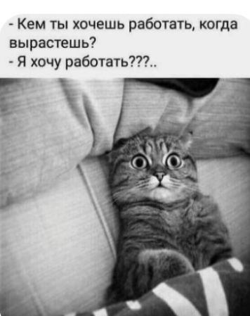 Кем ты хочешь работать когда вырастешь Я хочу работать