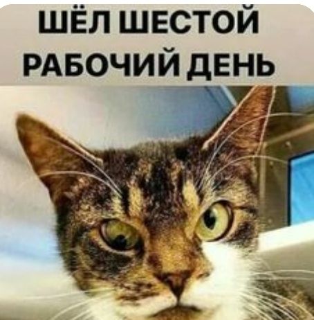 шёл швстой РАБОЧИЙ день