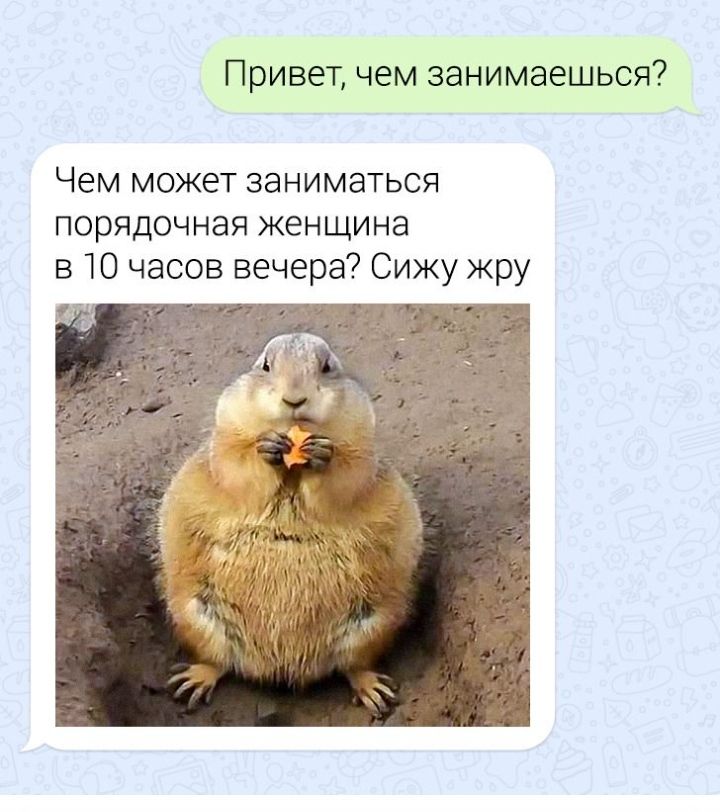 Привет чем занимаешься Чем может заниматься порядочная женщина в Ю часов вечера Сижу жру ц
