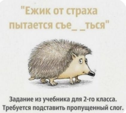 Ежик от праха пытается съе_ _ться Задание из учебника для 1го класса Жребуешч подставить пропущенный ит