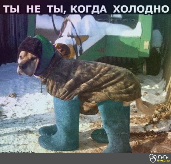 ТЫ НЕ ТЫ КОГДА ЗОЛОЁЧЦНО 5
