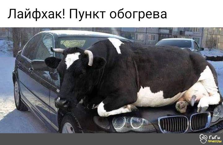 Лайфхак Пункт обогрева