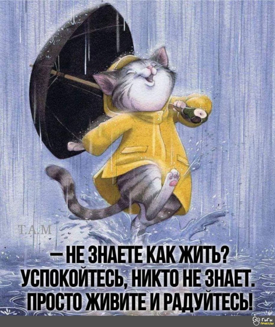3 нвзндпвкдкжить9 _ успокоилась _никто ннзндп _ ЁЁ ПШОЮ ЖИВИТЕ И РАЛУИПЕЁБ