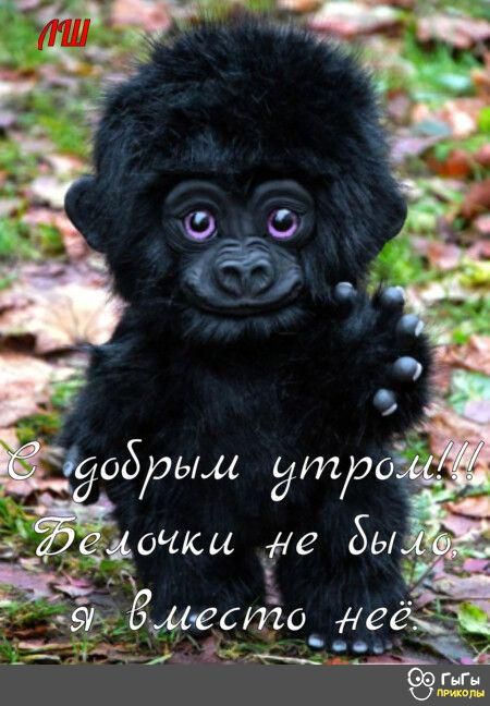 7 _ мочки не бы Ё Ёзуді Ём есгйа дев _ Мч _