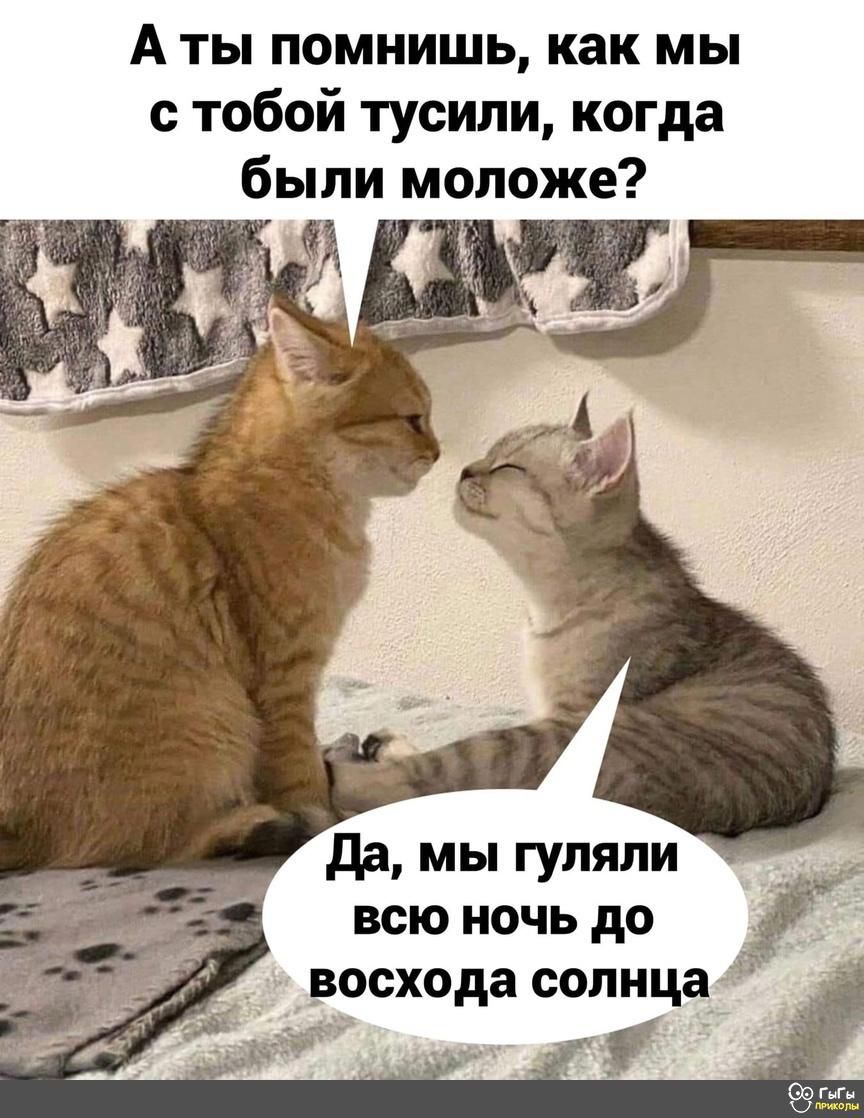 А ты помнишь как мы с тобой тусили когда были моложе да мы гуляли всю ночь до восхода солнца_