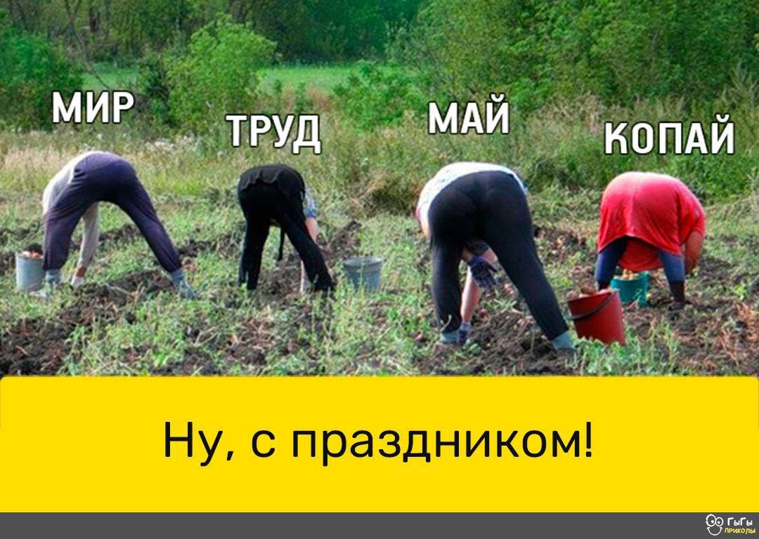 Ну с праздником