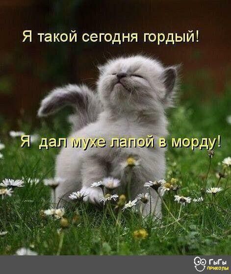 Я такой сегодня гордый