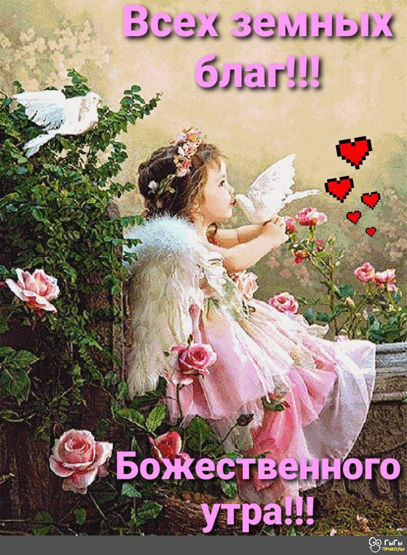 33535 зашли благ
