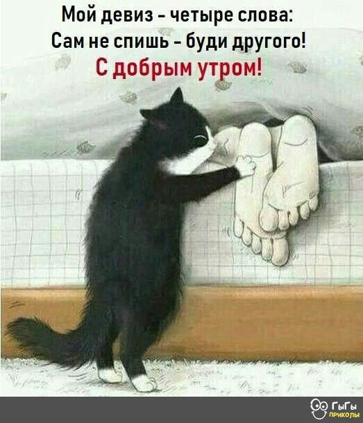 Мой девиз четыре слова Сам не спишь буди другого Сдвбрынутриш