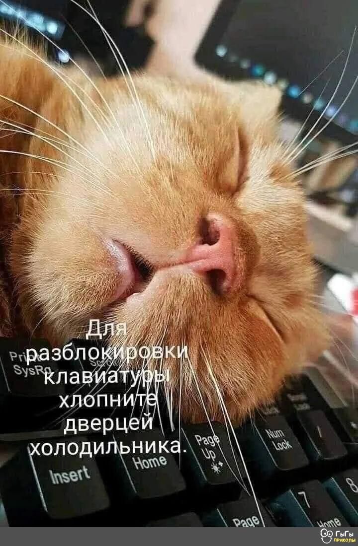 ОЛ оди 5