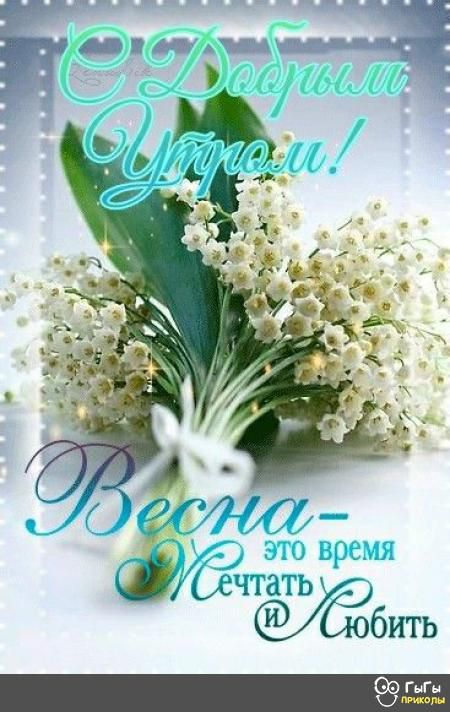 М. Ё ычбить ко пеико